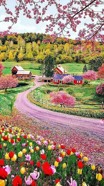 Spring, Garden HD phone wallpaper