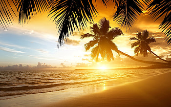 Beach Paradise, sea, sand, palm, landscape, beach, clouds, trees, nature, sky, sun, sunset HD wallpaper
