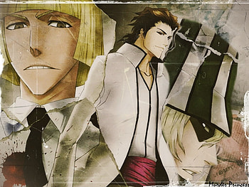 3 Former Captains, bleach, anime, hollows, captains HD wallpaper