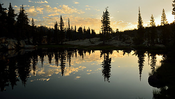 Nature, Trees, Lake, Reflection, Forest, Spruce, Fir HD wallpaper