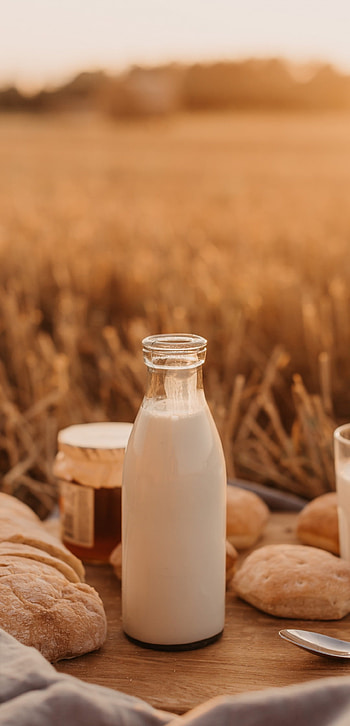 Morning milk bottle, Picnic delight, Fresh drink, Outdoor enjoyment HD phone wallpaper