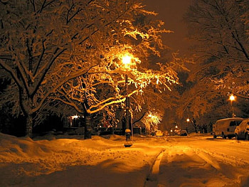 winter night, winter, night HD wallpaper