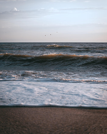 Nature, Birds, Sky, Sea, Waves, Coast HD phone wallpaper