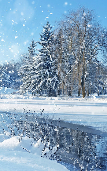 snowfall , snow background, Winter snow scenery, Snowfall aesthetics HD phone wallpaper