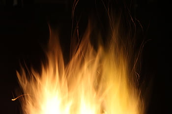 Dancing flames casting warmth and light against a dark backdrop. HD wallpaper