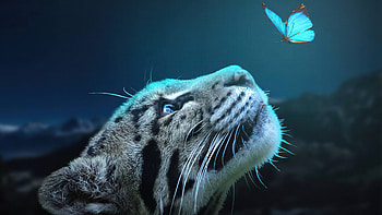 Leopard Butterfly Connection , leopard, butterfly, animals, manipulation, hop HD wallpaper