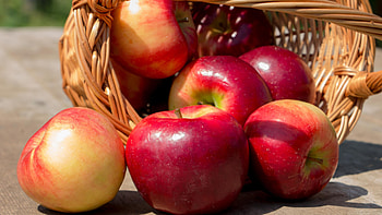 Basket of apples, Fruit, Food, Harvest HD wallpaper