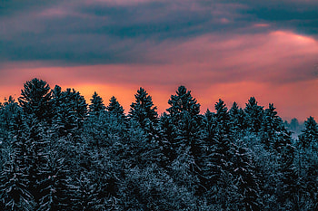 Winter, Nature, Trees, Sky, Snow Covered, Snowbound, Slovenia HD wallpaper