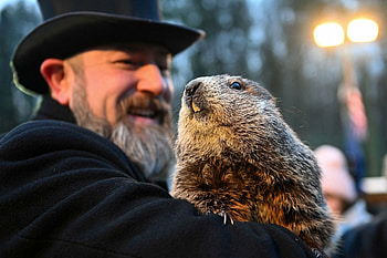 Groundhog Day, No early spring HD wallpaper