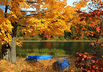 Autumn by the Lake, trees, autumn, lakes, boats HD wallpaper