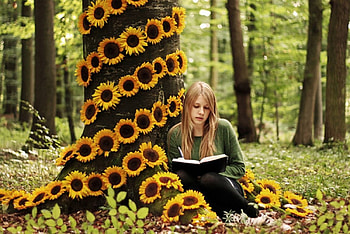charming autumn, book, sunflowers, autumn, nature, girl, tree HD wallpaper