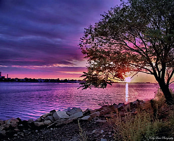 Good Morning Sunshine, blue, river, morning, colors, sunrise, nice, shore, reflection, trees, water, rpetty, sunset, sunshine, good morning, beautiful, grass, purple, branches, clouds, nature, sky, romantic, lovely HD wallpaper