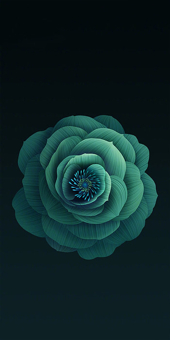 Jade Rose, rose, artistic, flower HD phone wallpaper