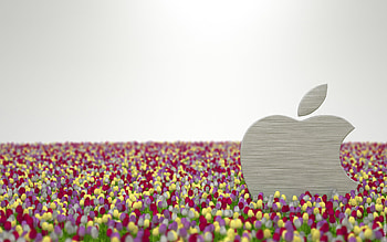 Plants, Brands, Flowers, Logos, Apple HD wallpaper
