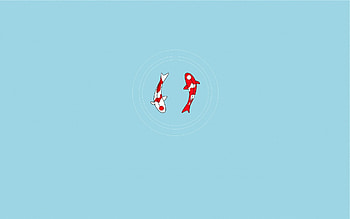 Minimalism, Circle, Fish HD wallpaper