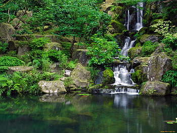 waterfalls, river, forest, tree HD wallpaper