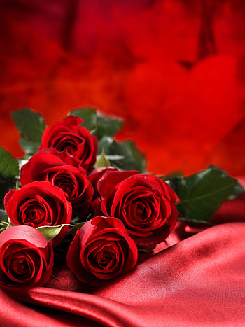 Love bouquet, Red roses, , Best HD phone wallpaper