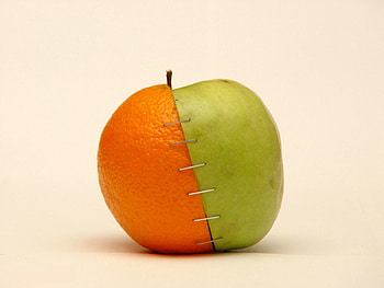 Apple, Miscellanea, Miscellaneous, Stapler, Selection HD wallpaper