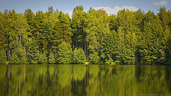 Nature, Water, Trees, Lake, Reflection, Forest HD wallpaper