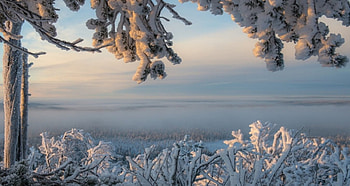 Snow in Finland, Winter, Snow, Nature, Finland, Branches HD wallpaper
