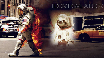 [ - 437694] | Astronaut Sloth | Know Your Meme HD wallpaper