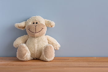 A cuddly plush sheep toy with a big smile sits on a wooden surface against a light blue wall. HD wallpaper