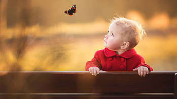 Cute Adorable Baby Boy Toddler Is Sitting On Wood Bench Wearing Red Dress Seeing Butterfly In Blur Background Cute HD wallpaper