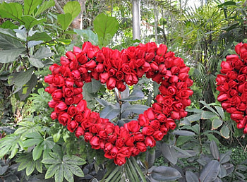 Paradise, Heart, Roses, Nature HD wallpaper