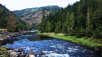 Northern Idaho’s Clearwater River, trees, sky, forest, rocks, mountains, usa HD wallpaper