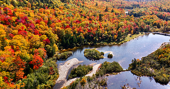 Nature, Rivers, Autumn, View From Above, Forest, Islands HD wallpaper