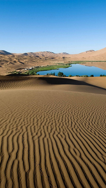 Gobi Desert, Oasis water, Tranquil scenes, Refreshing beauty HD phone wallpaper
