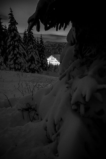Winter, Trees, Night, Snow, Miscellanea, Miscellaneous, House, Bw, Chb HD phone wallpaper