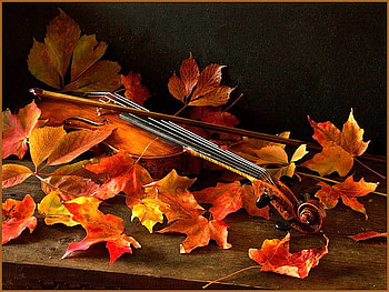 Autumn romance, song, dried leaves, romance, violin, sad, quiet, abstract, yellow, autumn, nature, romantic HD wallpaper
