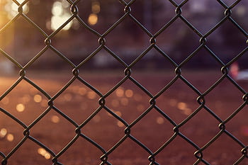 A close-up shot of a chain link fence with warm sunlight and soft bokeh background. HD wallpaper