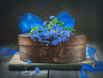 Flowers, Bow, Blue, Box, Still life HD wallpaper
