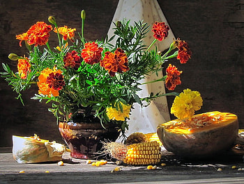 Autumn, harvest field, color, beauty, still life, wealth, green, nature, flowers HD wallpaper