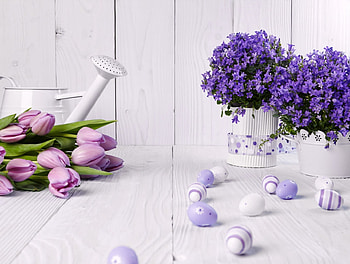 Still life, purple, campanula, vase, easter, tulips, spring, eggs HD wallpaper