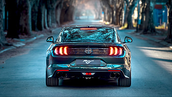 Ford Mustang Bullitt 2019 HD wallpaper