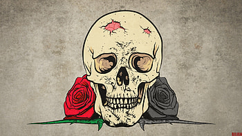 Skull, rose, CG, Fantasy HD wallpaper