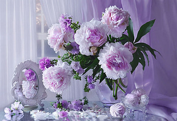 soft, still life, flowers, abstract HD wallpaper
