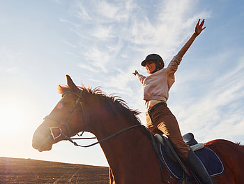 Relaxing horseback ride, Overcoming riding anxiety, Finding inner peace, Enjoying the moment HD wallpaper