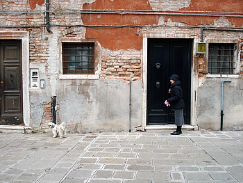 Walking the dog, dog, building, people, woman HD wallpaper