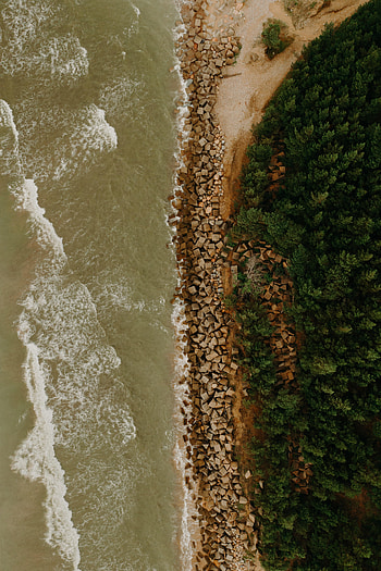 Nature, Trees, Sea, View From Above, Coast HD phone wallpaper