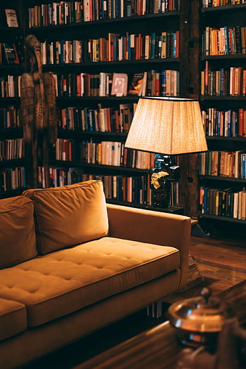 Warm and inviting library scene featuring a cozy couch, bookshelves, and a lamp for ambient lighting. HD phone wallpaper