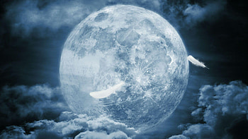 •ღ✿ღ•, feather, sky, moon, fantasy HD wallpaper