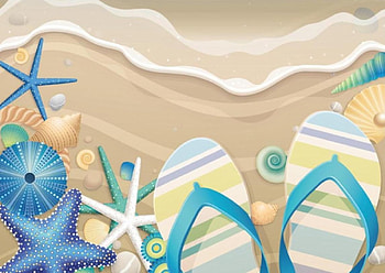 Summer, starfish, shell, shells, starfishes, sand HD wallpaper