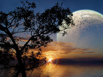 Landscape, Trees, Sky, Sun HD wallpaper