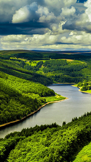 UK's landscapes, River's flow, Tree-covered hills HD phone wallpaper