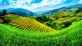 Vietnam nature, Majestic beauty, Serene landscapes, Stunning scenery HD wallpaper