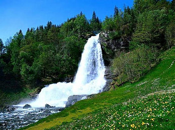 Beautiful waterfall, falls, beautiful, grass, waterfall, trees, nature, flowers, water, forest HD wallpaper